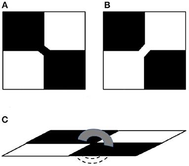 Euler Number and Percolation Threshold on a Square Lattice With Diagonal Connection Probability and Revisiting the Island-Mainland Transition